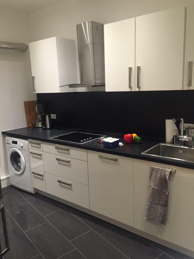 Luxe Apartment Am Rhein 沃尔姆斯 外观 照片